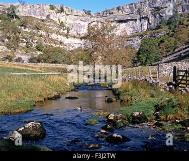 Avis de Malham Cove et Beck dans le Yorkshire Dales, Malham, Yorkshire Dales, North Yorkshire, Angleterre, Royaume-Uni, Grande Bretagne. Banque D'Images