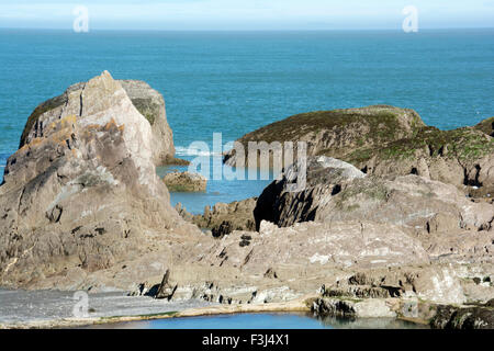 N.DEVON ILFRACOMBE ; ; ; Ladies Beach ; ROCHE ILFRACOMBE (Grit, schiste, calcaire) Banque D'Images