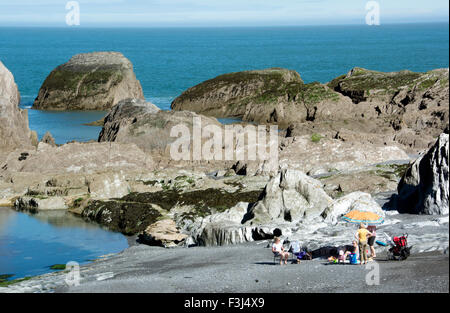 N.DEVON ILFRACOMBE ; ; ; Ladies Beach ; ROCHE ILFRACOMBE (Grit, schiste, calcaire) Banque D'Images