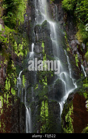 Cascade du Nideck, Alsace, France Banque D'Images