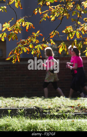 Wimbledon London,UK. 8 octobre 2015. Les coureurs sur Wimbledon Common passé feuilles colorées avec l'arrivée de l'automne : Crédit amer ghazzal/Alamy Live News Banque D'Images