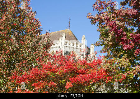 Wimbledon London,UK. 8 octobre 2015. Les feuilles commencent à changer leur couleur en face de l'église Sacré-Cœur à Wimbledon avec l'arrivée de l'automne : Crédit amer ghazzal/Alamy Live News Banque D'Images