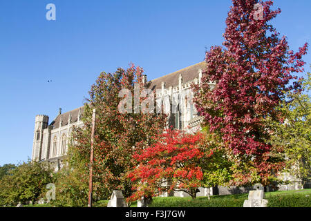 Wimbledon London,UK. 8 octobre 2015. Les feuilles commencent à changer leur couleur en face de l'église Sacré-Cœur à Wimbledon avec l'arrivée de l'automne : Crédit amer ghazzal/Alamy Live News Banque D'Images