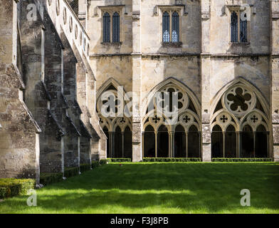 Cloître de la cathédrale de Salisbury, une cité médiévale de style gothique du xiiie siècle lieu de culte chrétien construit dans le sud de l'Angleterre. Banque D'Images