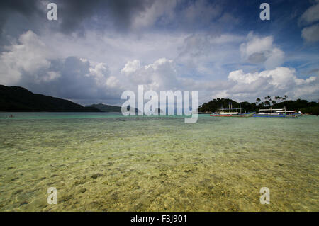 L'île aux Serpents (également connu sous le nom de Vigan Island) - Palawan, Philippines Banque D'Images