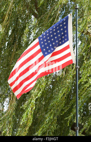 Drapeau des États-Unis d'Amérique Banque D'Images