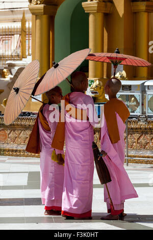 Les nonnes bouddhistes à la pagode Shwedagon. Banque D'Images
