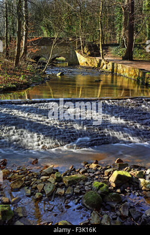 UK,South Yorkshire,Sheffield,Porter Brook Weir Banque D'Images