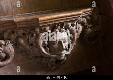 Royaume-uni, Angleterre, dans le Yorkshire East Riding, Wintringham, Eglise St Peter miséricordes montrant green man Banque D'Images