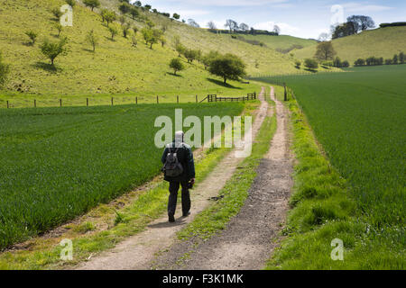 Royaume-uni, Angleterre, dans le Yorkshire East Riding, Thixendale, solo Wolds Way Walker sur le chemin de l'eau Dale Banque D'Images