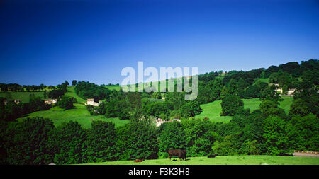 Woodchester, Gloucestershire du sud Banque D'Images