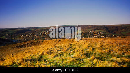 De Woodchester Minchinhampton Common, Gloucestershire Banque D'Images