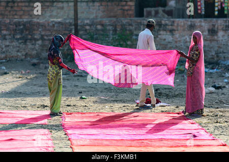 Dhobi Ghat à Jodhpur est bien connu de l'air ouvrir une laverie automatique. Les rondelles, connu localement sous le nom de Dhobis Banque D'Images