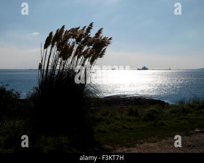 Coucher de soleil sur la Plymouth, Devon, UK Banque D'Images