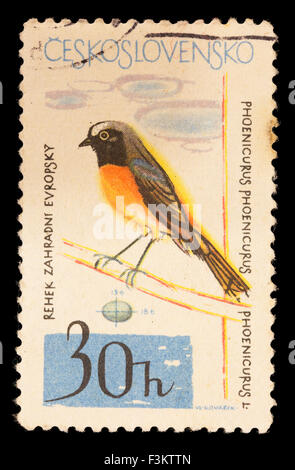 La Tchécoslovaquie - circa 1964 : un timbre-poste imprimé en Tchécoslovaquie montre une paruline flamboyante, Phoenicurus phoenicurus Banque D'Images
