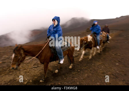 Les touristes monter un cheval dans Sommet de Puu Ulaula. Maui. Hawaii. Sommet des Puu Ulaula avec au départ de plusieurs pieds ou horseb trekings Banque D'Images