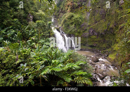 Cascades de la voie de chemin de Hana. Maui. Hawaii. Piscines Oheo Gulch Hana Highway le Mont Haleakala Maui Hawaii Océan Pacifique. T Banque D'Images