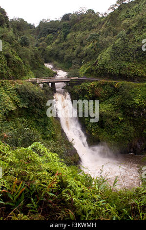 Cascades de la voie de chemin de Hana. Maui. Hawaii. Piscines Oheo Gulch Hana Highway le Mont Haleakala Maui Hawaii Océan Pacifique. T Banque D'Images