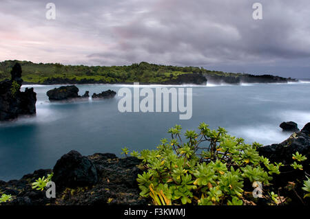 Wai'anapanapa State Park. Un verdoyant avec des grottes marines et des falaises volcaniques. Hana Highway. Maui. Hawaii. C'est un grand stop Banque D'Images