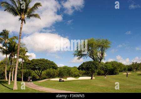 Golf de Wailea, Hawaii. Makena Beach & Golf Resort. Makena Beach & Golf Resort Maui est un beach resort dans le quartier de Makena, sur la rive sud du comté de Maui, Hawaiʻi, United States. Le complexe était autrefois connue comme Maui Prince Hotel, conçu par l'anbe, Aruga et Ishizu, architectes, ouvert en août 1986 et a par la suite vendu en juillet 2010 à Zone partenaires. Il a plusieurs centaines de chambres et suites menant à un atrium en plein air et en plein air construit autour d'un jardin de méditation asiatique avec cascades. Banque D'Images