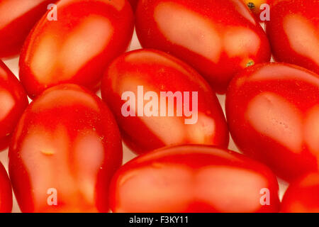 Gros plan macro de tomates cerises Banque D'Images