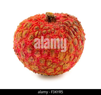 Gros plan macro de litchi fruit isolé sur fond blanc Banque D'Images