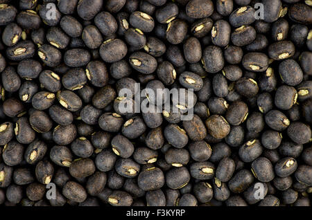 Urad dal lentilles haricots noirs Banque D'Images