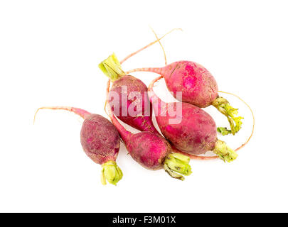 Botte de radis bio frais studio isolated on white Banque D'Images