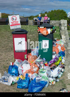 Les poubelles débordent avec des sacs en plastique autour de l'objet d'un dumping Banque D'Images