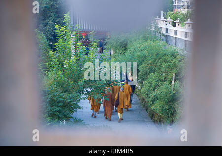 (151009) -- BEIJING, 9 octobre 2015 (Xinhua) -- moines sortir au travail dans les champs en monastère Longquan à Beijing, capitale de Chine, le 26 septembre 2015. Longquan monastère est situé au pied de la crête de Fenghuangling (Phoenix) à la périphérie ouest de Beijing. Construit en première dynastie Liao (907-1125), le monastère retrouve sa réputation en tant qu'il englobe l'Internet mobile de l'âge. Tous les matins, Maître Xuecheng répond aux questions des internautes sur Twitter du monastère Longquan Weibo, l'équivalent-compte de qui sera traduite en neuf langues et diffusé. WeChat ou Weixin (son, populaires instant m Banque D'Images