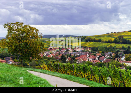 Bel Automne colorisée hills à Andlau, Alsace, France Banque D'Images