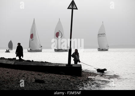 Dog walker disponibles jour terne par les mers Yacht Racing, animations côté rive, bandes, Yacht Club scènes, 2015, la semaine de Cowes, île de Wight, Angleterre, Royaume-Uni, Banque D'Images