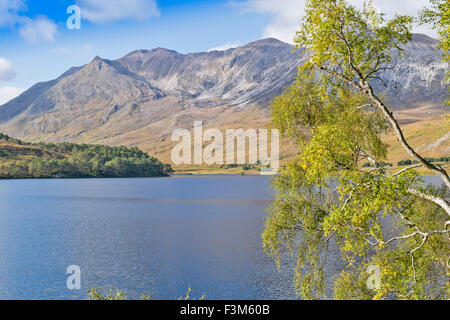 Du Loch Beinn Eighe CLAIR AU DÉBUT DE L'AUTOMNE AVEC LES FEUILLES DE BOULEAU ET GLEN TORRIDON HIGHLANDS ECOSSE Banque D'Images