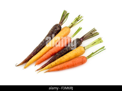 Groupe de variété de couleurs vibrantes de carottes Banque D'Images