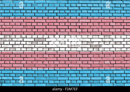 Transgender Pride flag peint sur mur de brique Banque D'Images