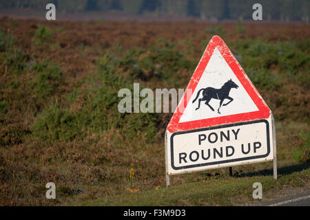Pony round up attention panneau routier dans la New Forest Hampshire UK Banque D'Images