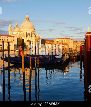 Grand Canal à l'aube avec des poteaux d'amarrage gondoles et Basilica di Santa Maria della Salute Venise Vénétie Italie Europe Banque D'Images