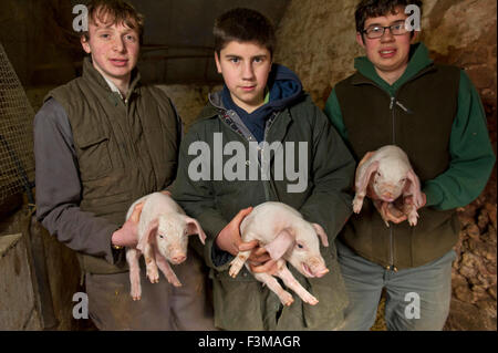 Brymore Academy,une ferme-école qui enseigne l'agriculture et de développement des compétences en agriculture et ont leurs propres produits laitiers Bovins, porcs et moutons,.Un UK Banque D'Images