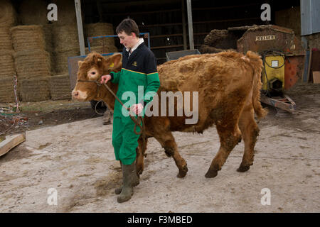 Brymore Academy,une ferme-école qui enseigne l'agriculture et de développement des compétences en agriculture et ont leurs propres produits laitiers Bovins, porcs et moutons,.Un UK Banque D'Images