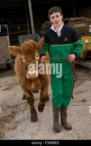 Brymore Academy,une ferme-école qui enseigne l'agriculture et de développement des compétences en agriculture et ont leurs propres produits laitiers Bovins, porcs et moutons,.Un UK Banque D'Images