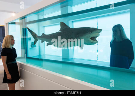 Londres, Royaume-Uni. 24/09/2015. Deux employés Ordovas regarde le ciel, un grand requin en suspension dans un réservoir rempli d'une solution de formaldéhyde (2008-2009) par Damien Hirst. La Grande Bleue, sur l'affichage à l'Ordovas dans Savile Row du 25 septembre au 12 décembre 2015, est une exposition d'œuvre inspirée par la mer qui porte sur près de deux millénaires. Banque D'Images