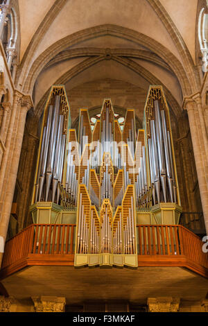 Tuyaux d'orgue de la cathédrale Saint-Pierre à Genève, Suisse Banque D'Images