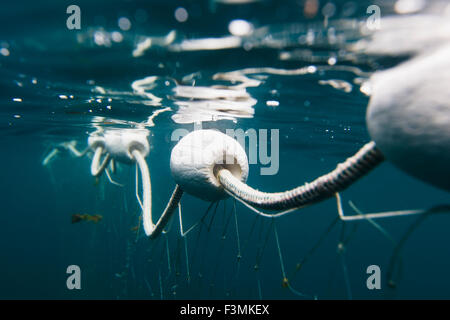 Corde,sous-marine,Alaska,filet Banque D'Images