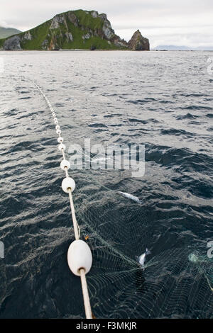 Le littoral de l'Alaska,Filet maillant,Corde, Banque D'Images