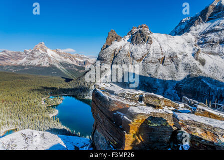 Et de montagne de la cathédrale Wiwaxy pics, le parc national Yoho, Colombie-Britannique, Canada Banque D'Images