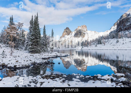 Wiwaxy Cathedral Mountain Peaks, le parc national Yoho, Colombie-Britannique, Canada Banque D'Images