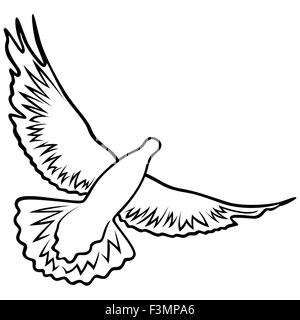 Colombe en vol avec les ailes largement ouvertes, contour vector illustration Illustration de Vecteur