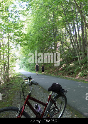 Un vélo rouge est stationné le long de l'Ashuwillticook Rail Trail dans Adams, Massachusetts. Banque D'Images