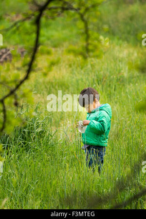 Young Asian boy recueille des insectes dans l'herbe haute Banque D'Images