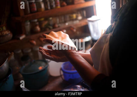 Une femme fait tortillas de maïs biologique dans Tepetlixpa "banque de semences", créé par Tomas Villanueva Buendia 'Tomaicito' pour protéger et sauver les variétés de maïs mexicain original Banque D'Images